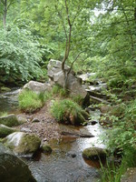 Hardcastle Crags