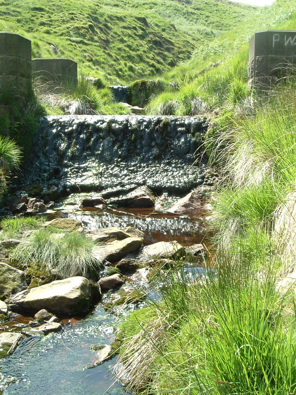 A green, slimy waterfall