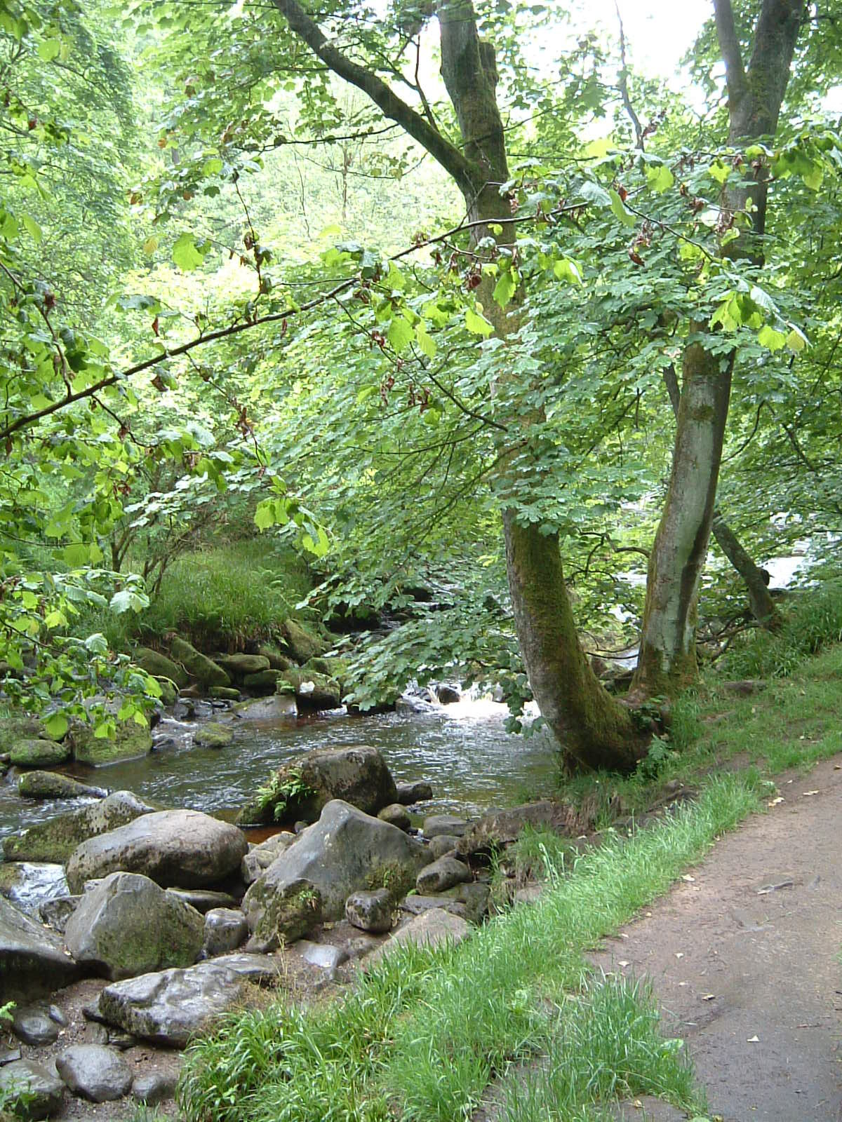 Hardcastle Crags