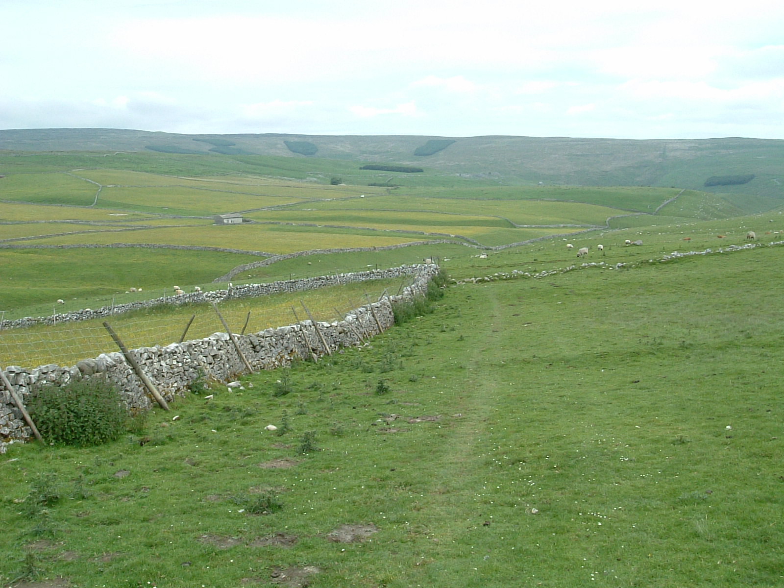 Fountains Fell