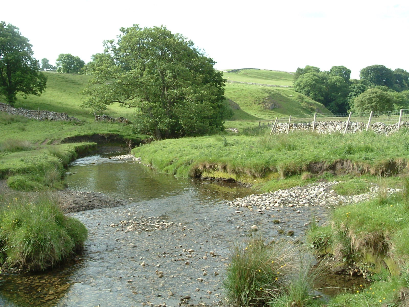 The River Aire