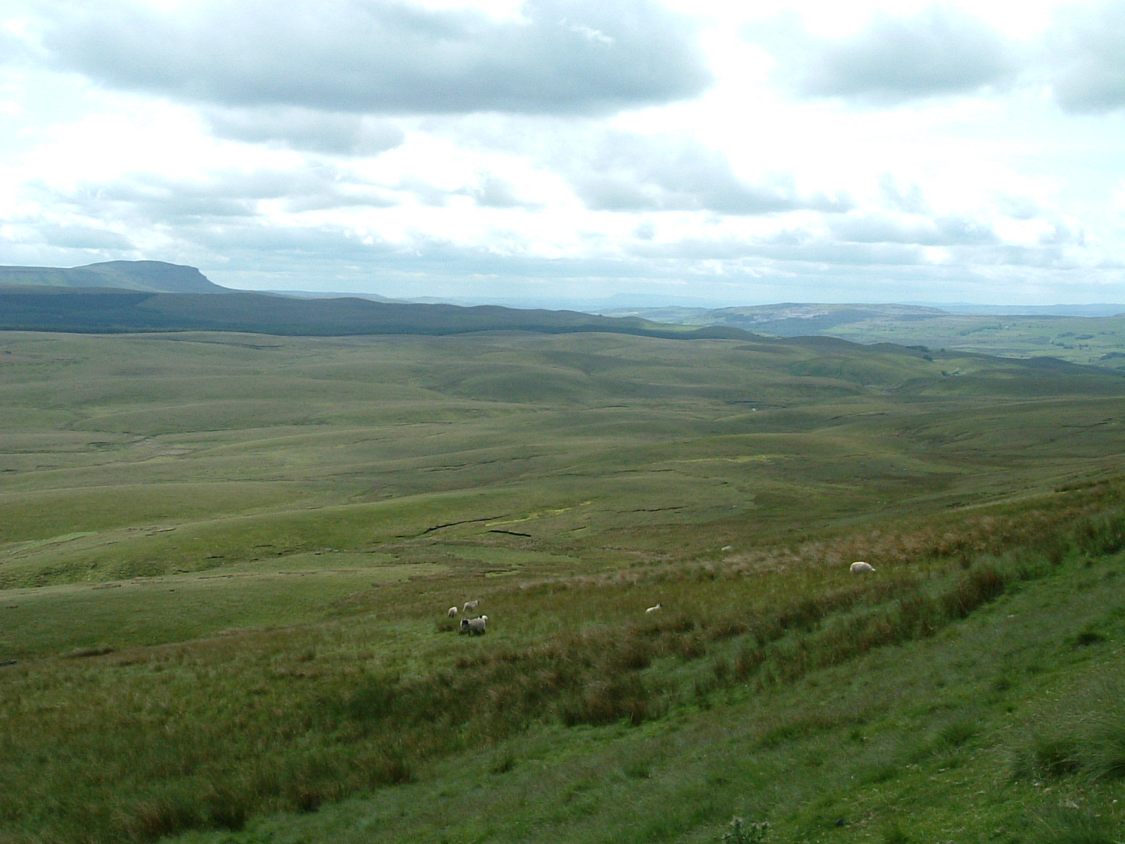 Looking back towards Pen-y-Ghent from the slopes of Cam Fell