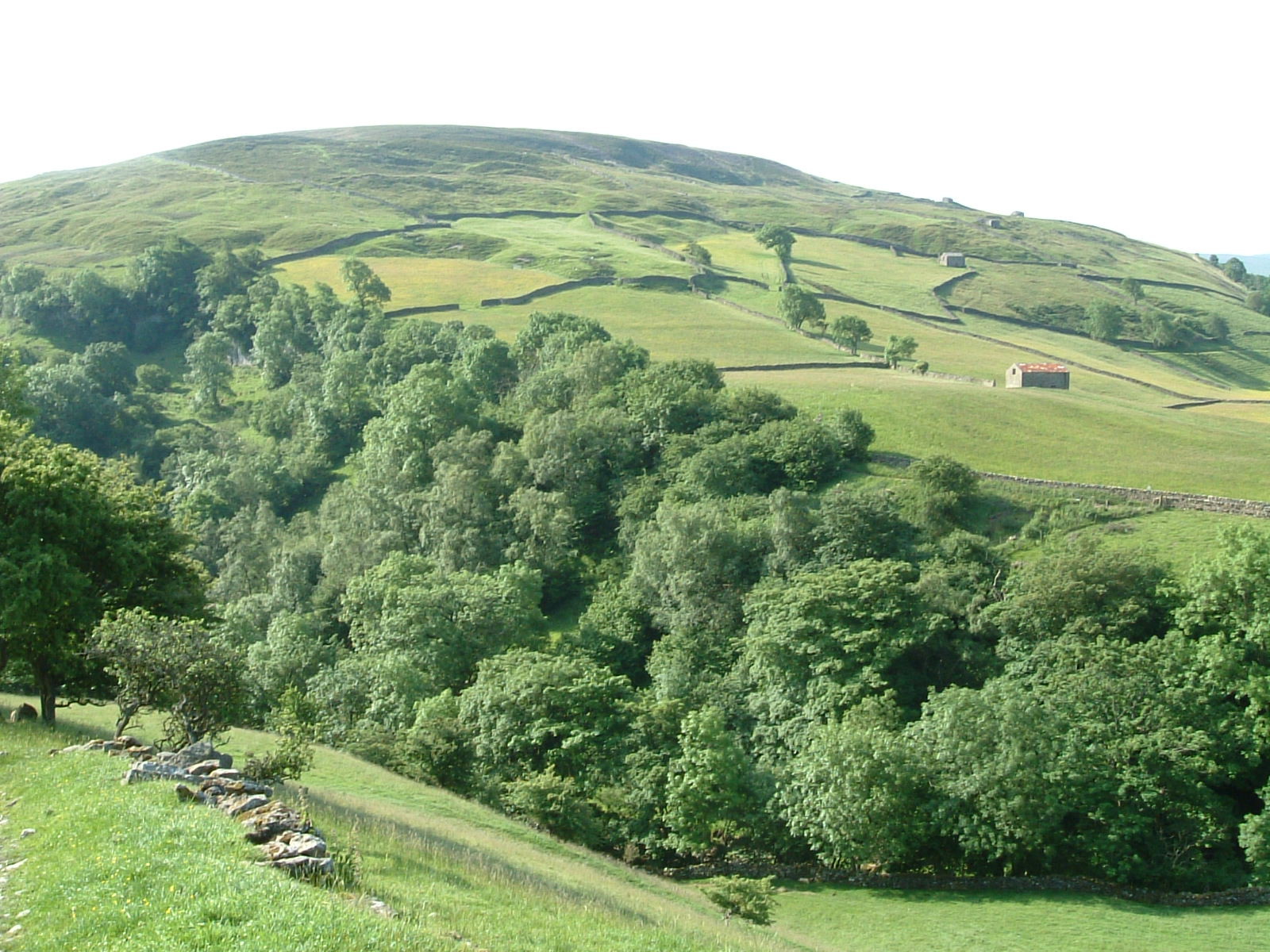 Looking back towards Keld