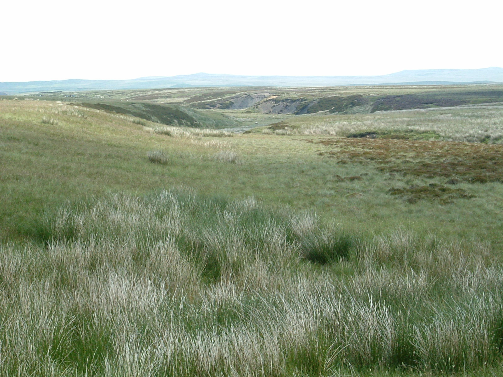 Sleightholme Moor