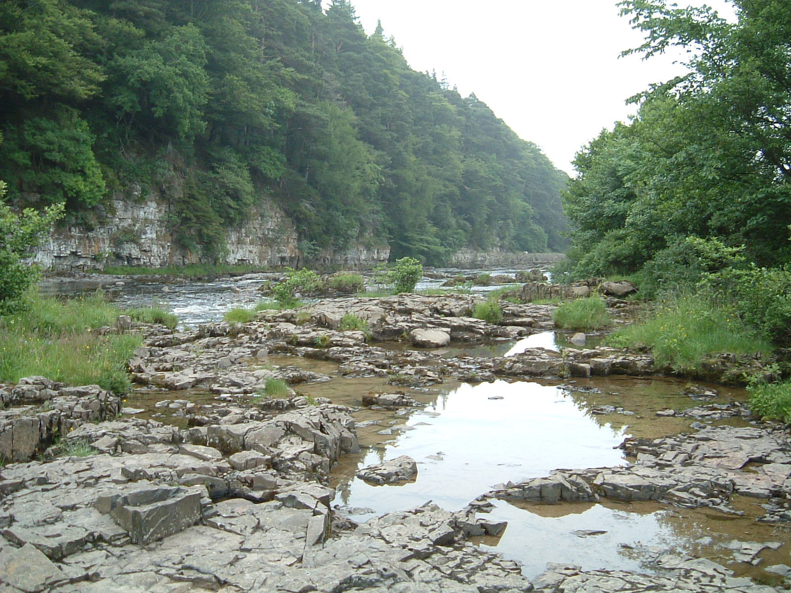 The River Tees