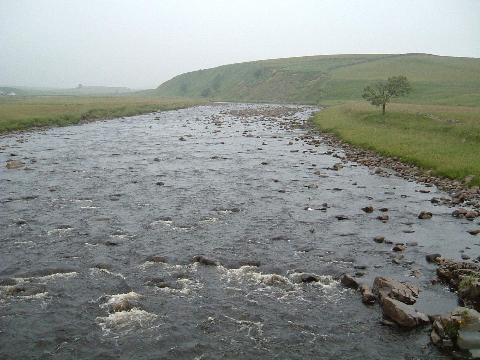 The River Tees