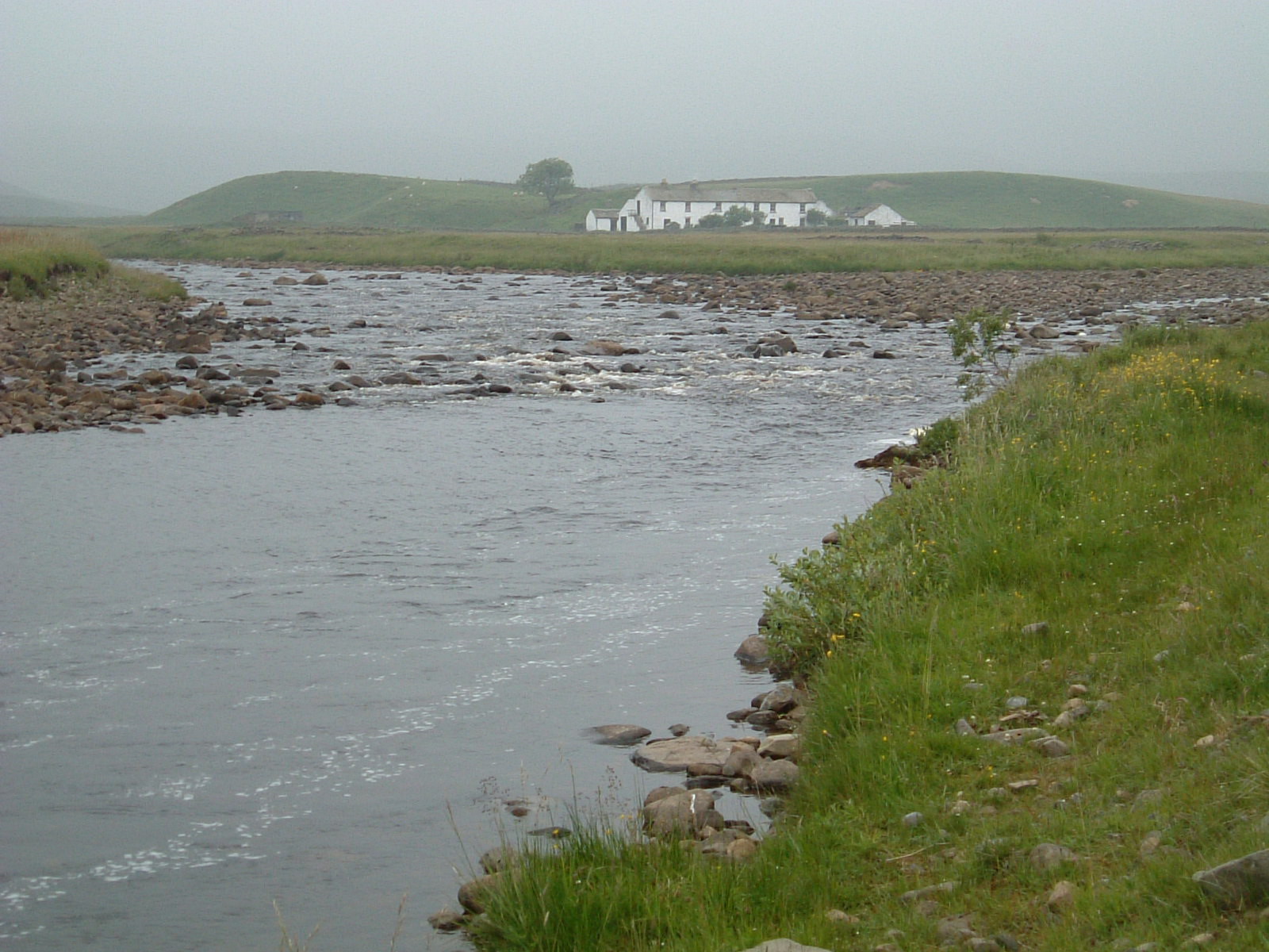 The River Tees