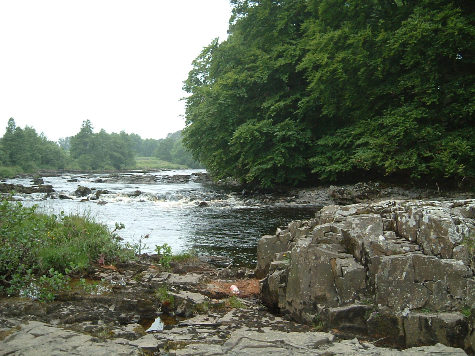 The River Tees