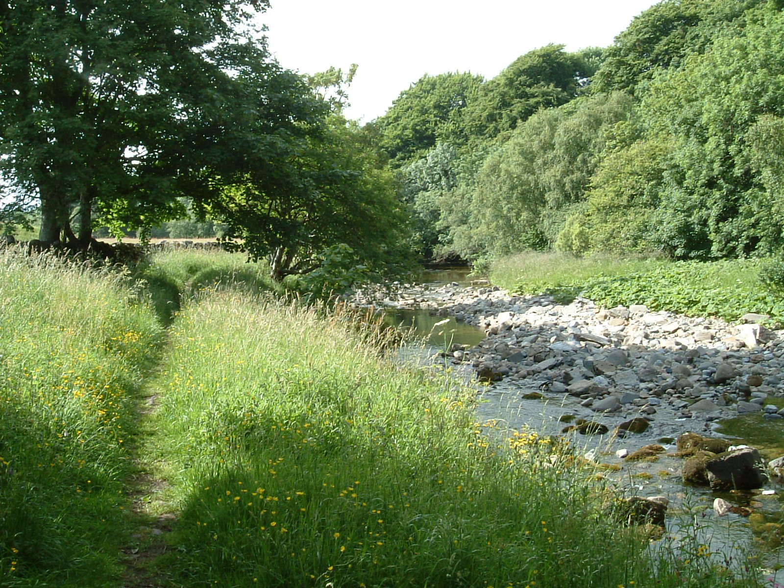 The River South Tyne