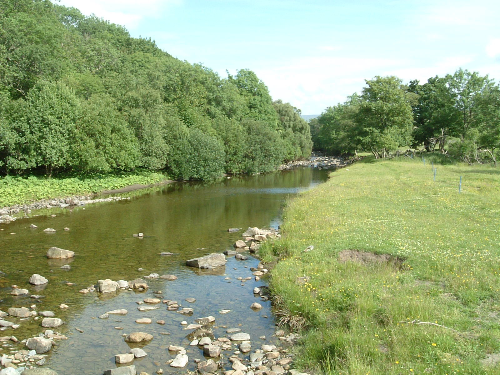 The River South Tyne