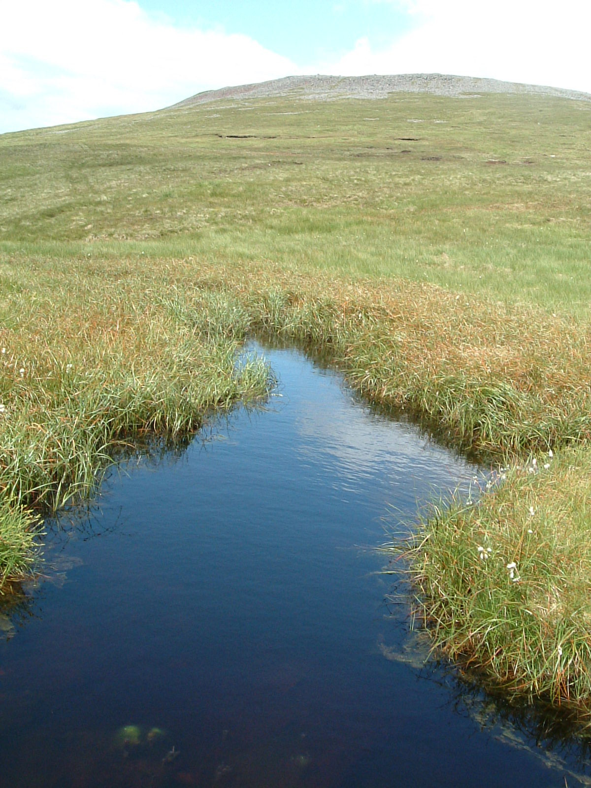 A tarn by Cross Fell