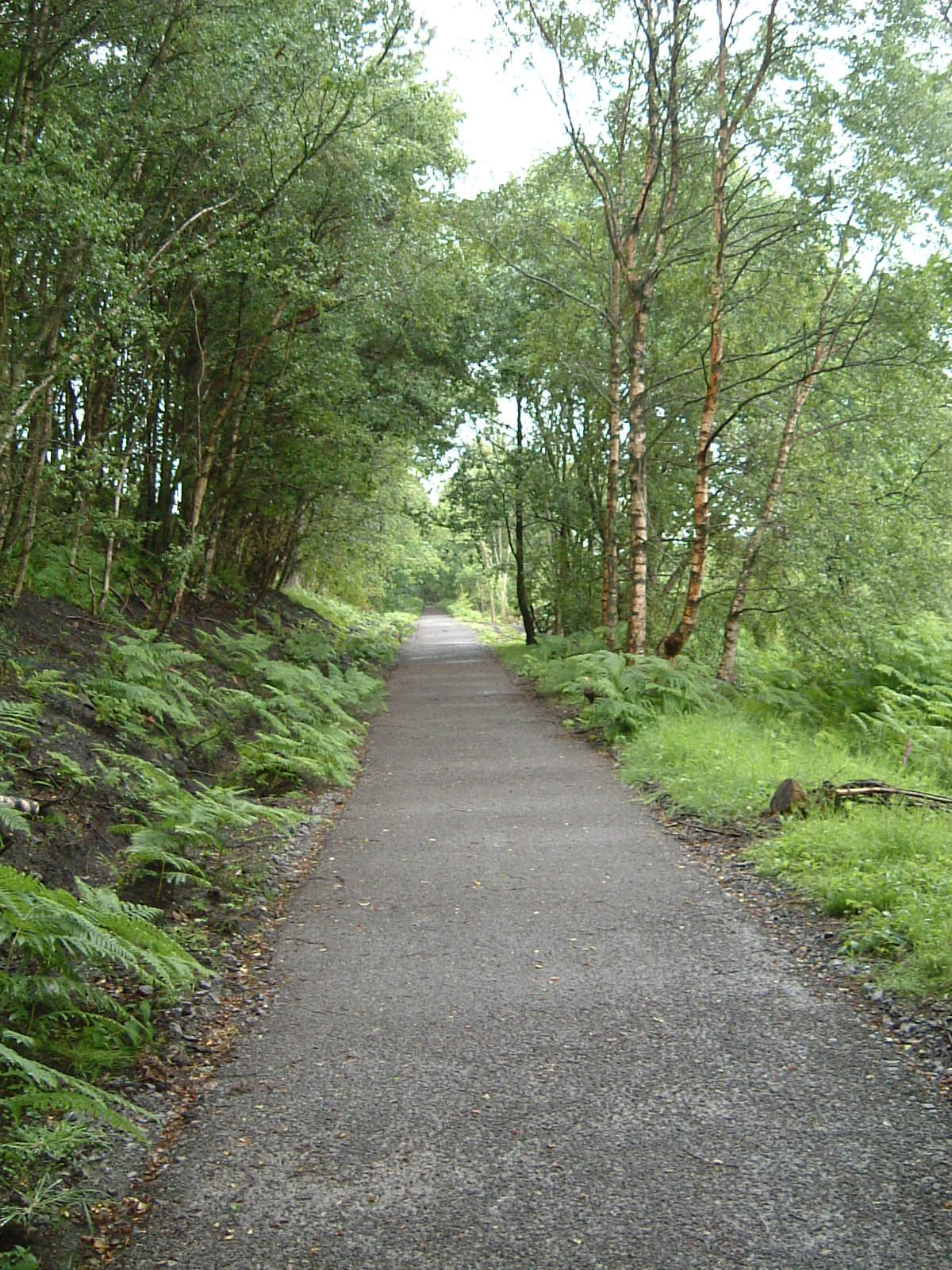 The South Tyne Trail