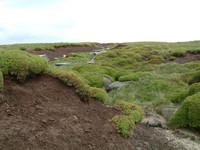 Peat bog after Kinder Downfall