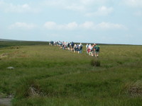 A large party of walkers on Sleightholme Moor