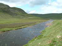 The River Tees near to Cauldron Snout