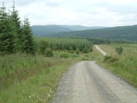 Redesdale Forest