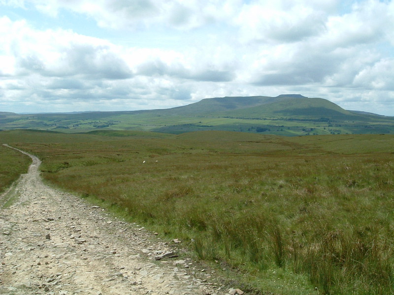 Looking back to Whernside from the Roman road across Cam Fell