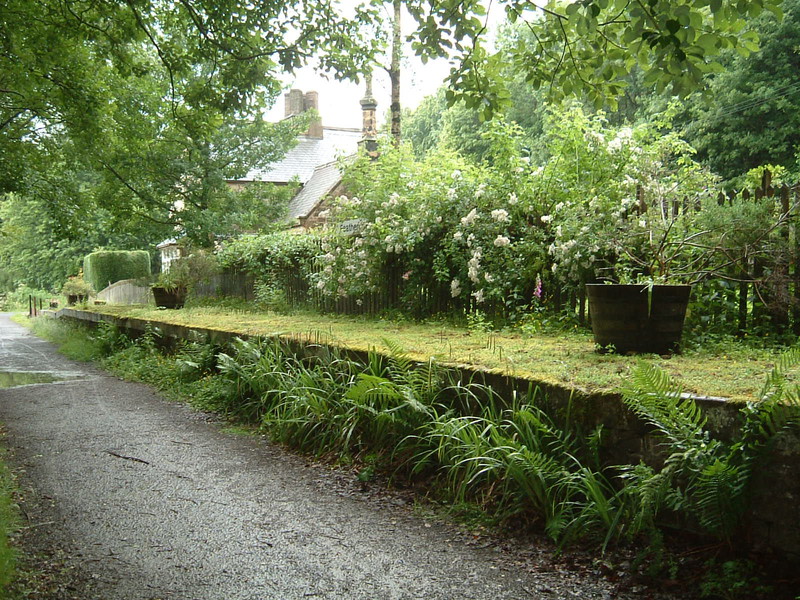 The old and rather overgrown train platform at Featherstone Rowfoot