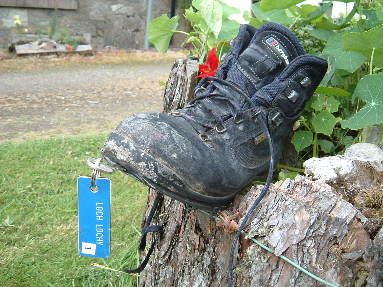 The hole in the toe of my left boot