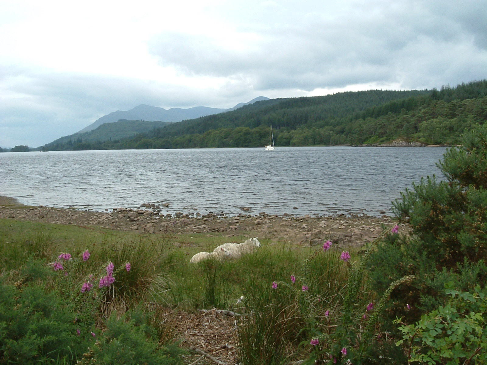 Loch Oich