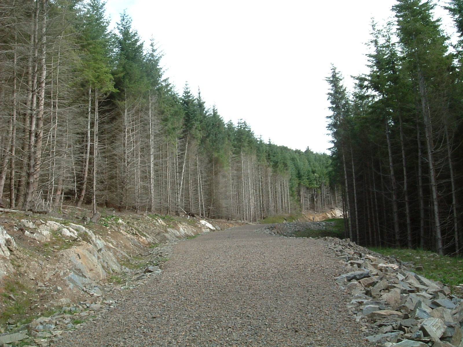 Forestry Commission land