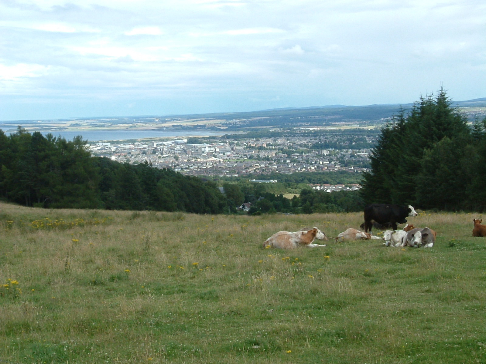 Inverness from a distance