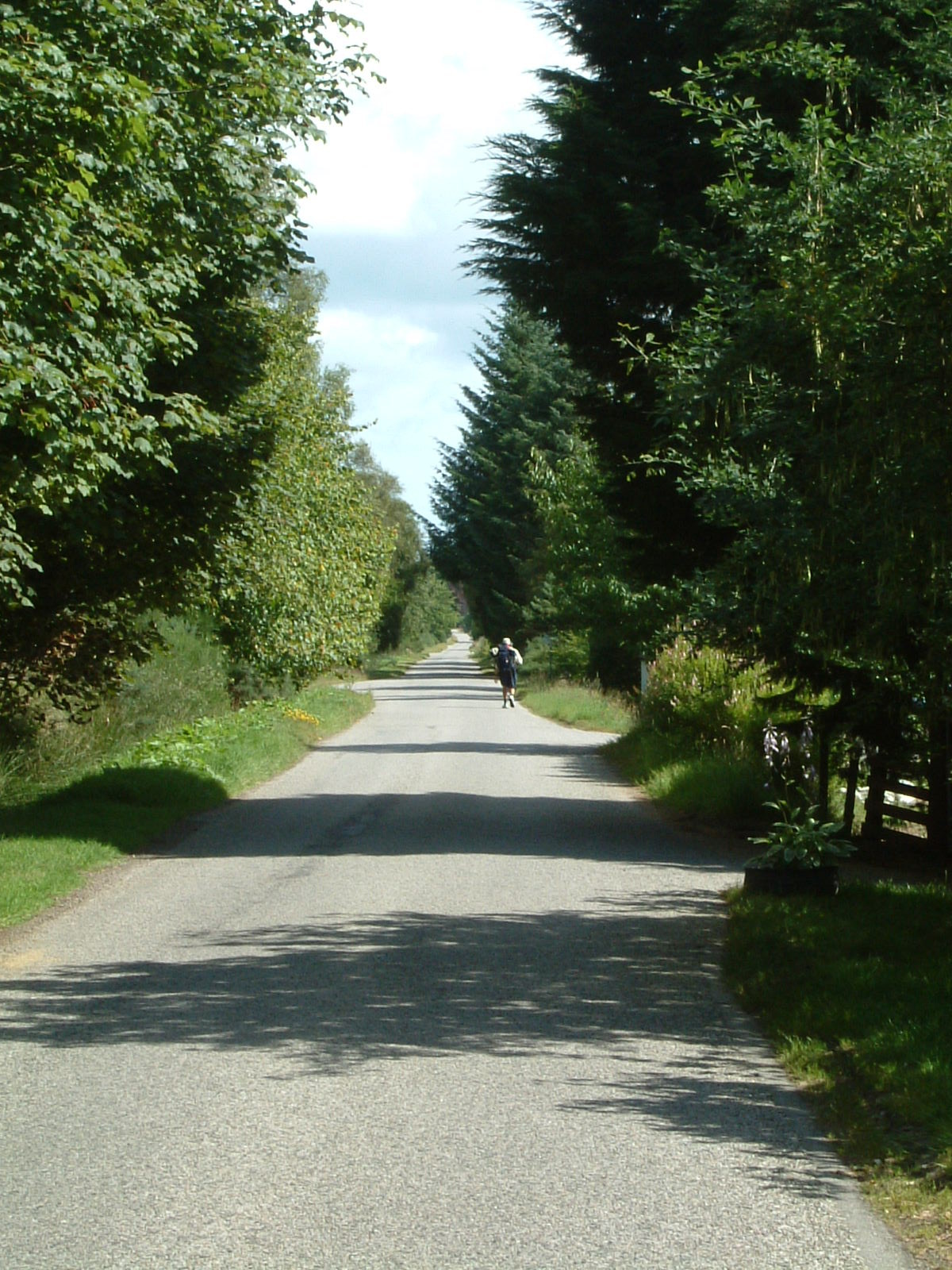 Barry walking along the peaceful lanes to Tain
