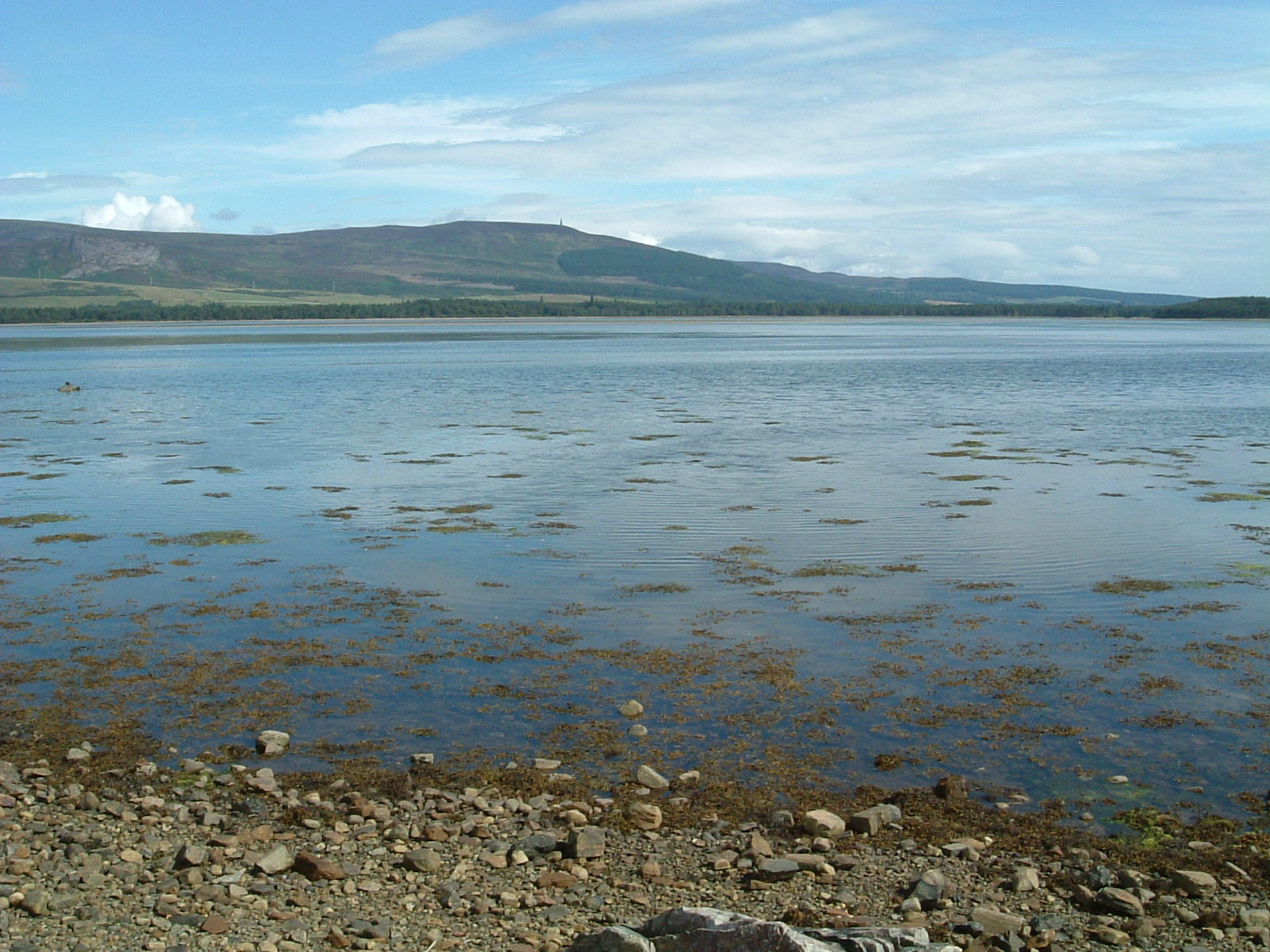 Loch Fleet