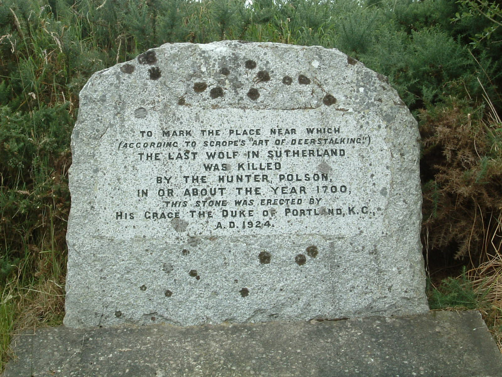 A stone by the A9 marking the spot where the last wolf in Sutherland was killed around the year 1700