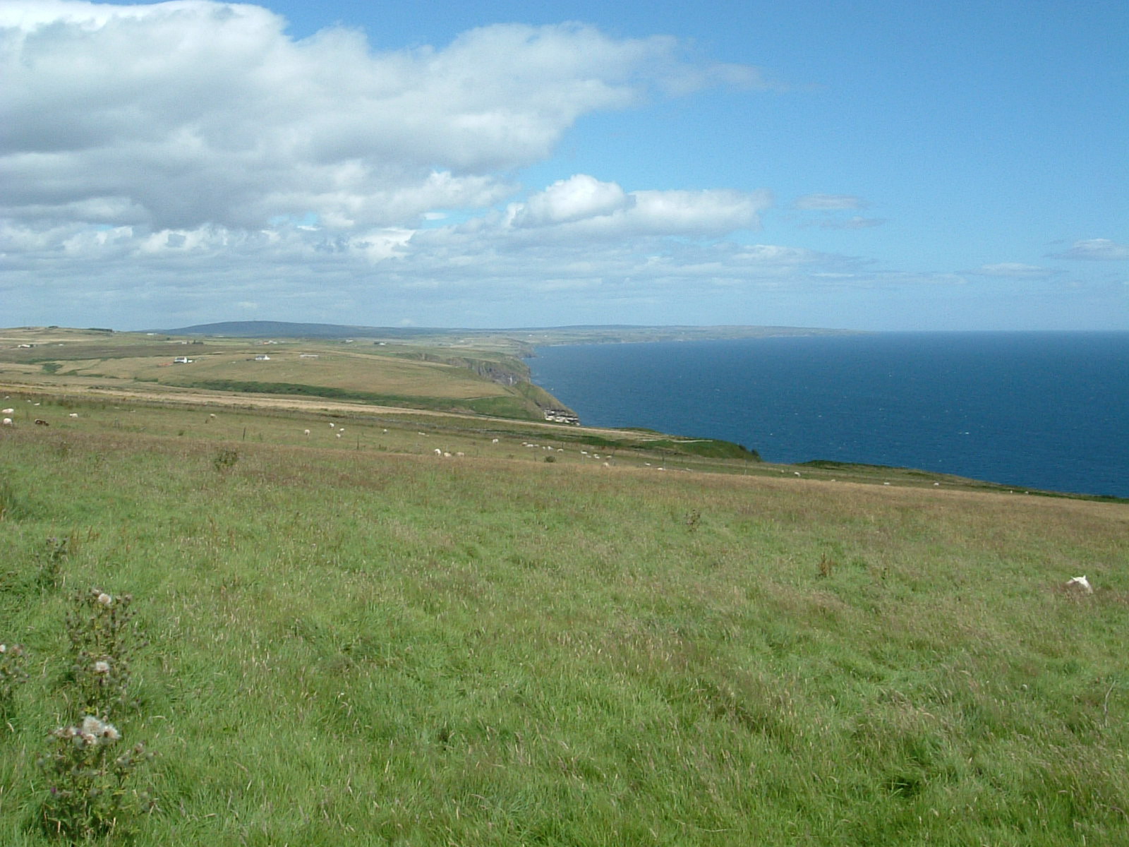 Looking northeast towards Dunbeath