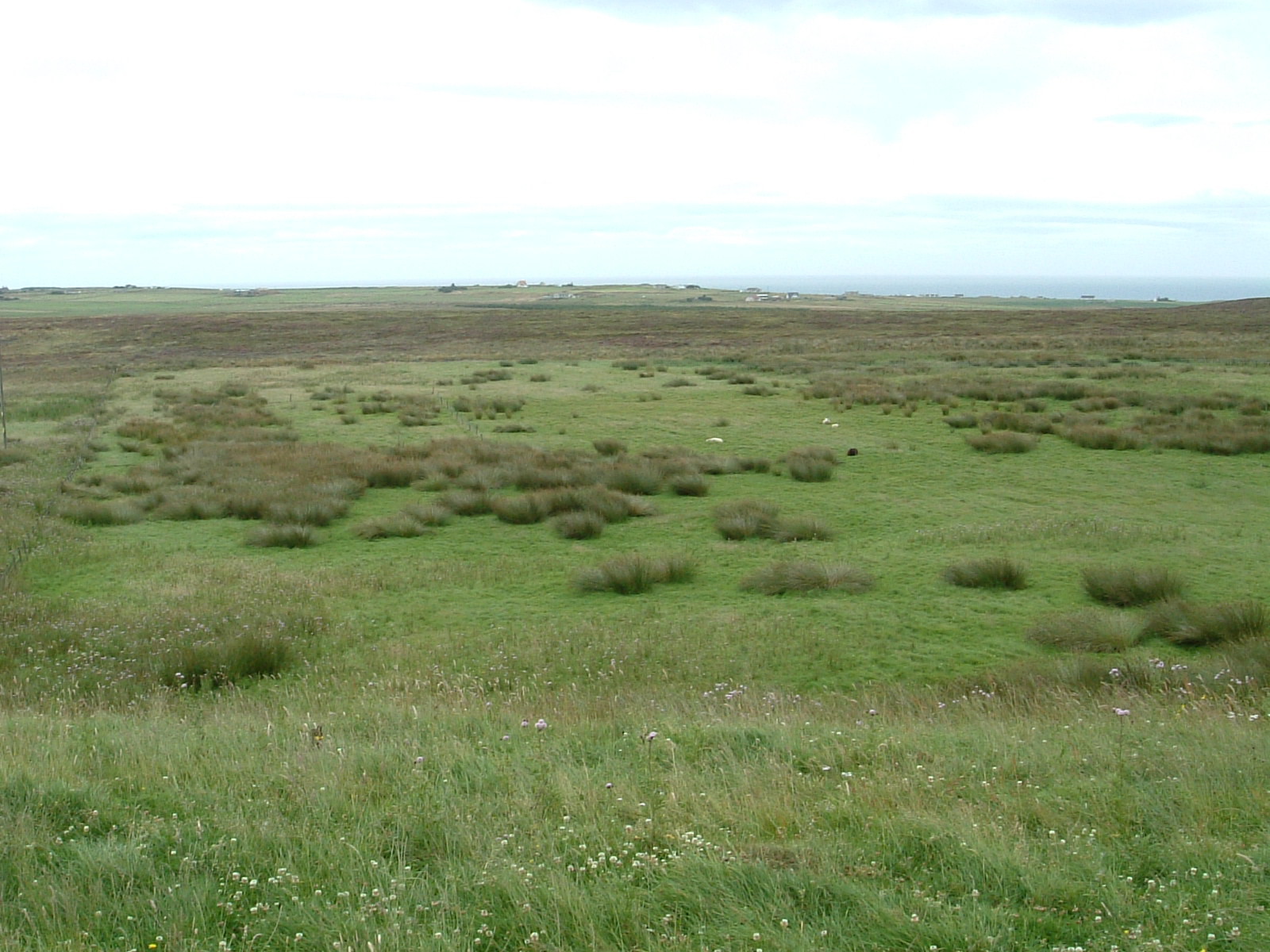 Bland scenery near Thrumster