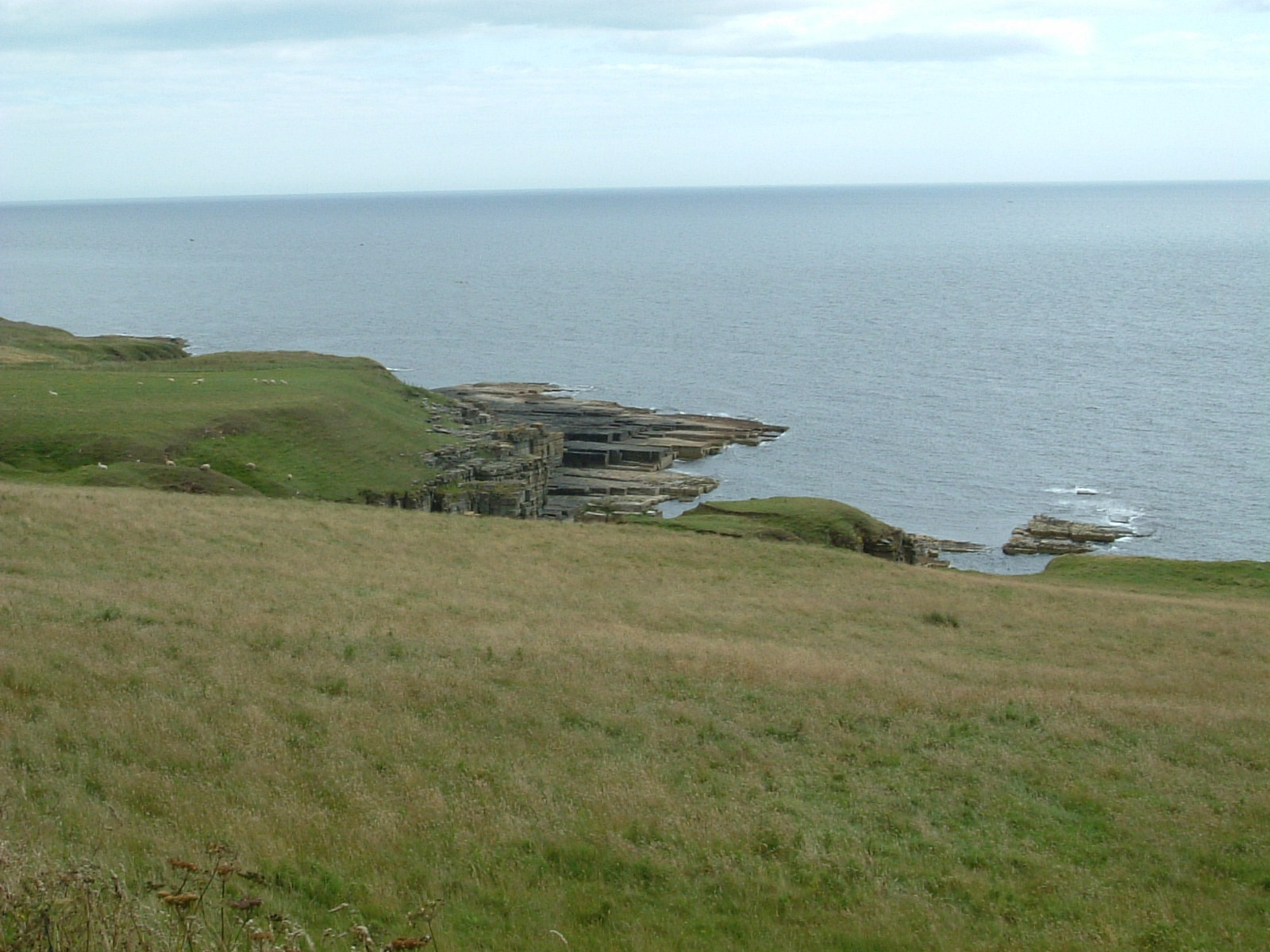 The shore north of Keiss