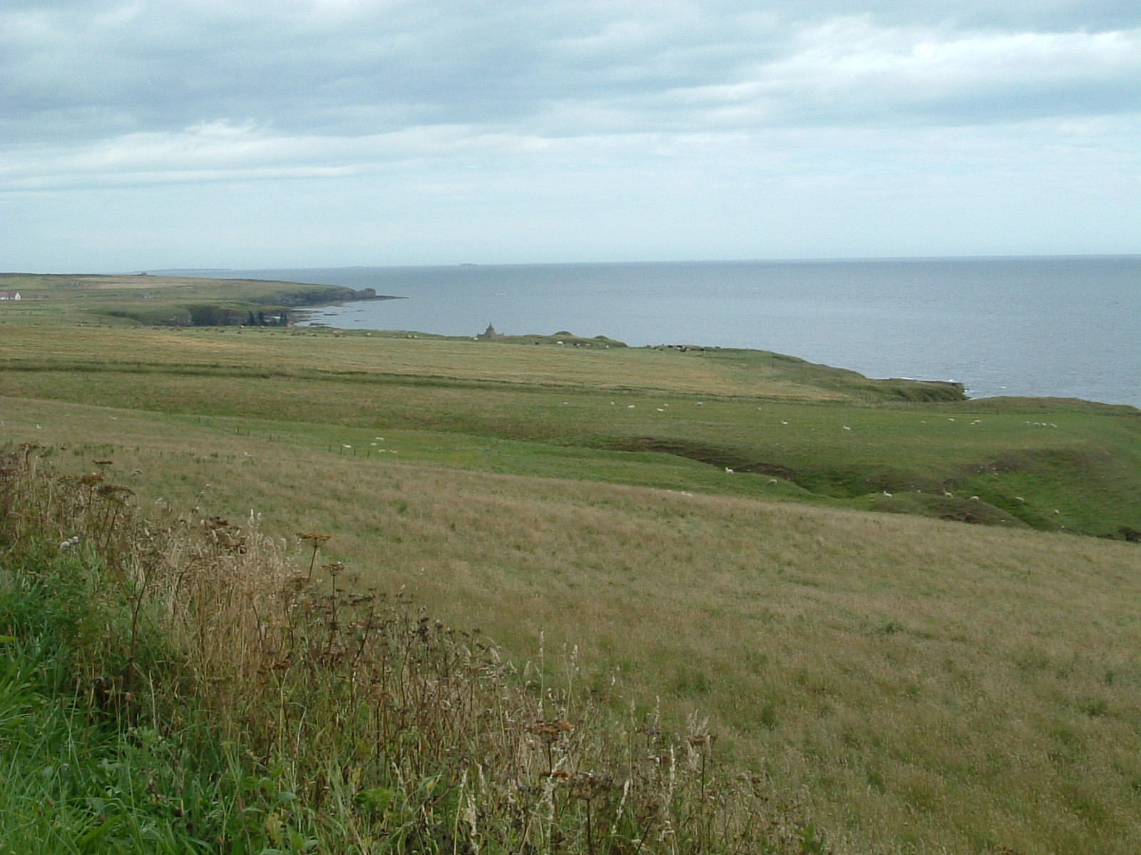 The shore north of Keiss