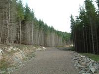 Forestry Commission land