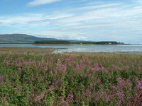 Loch Fleet