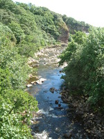 The river in Berriedale