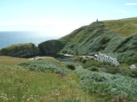 Berriedale