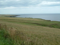 The shore north of Keiss