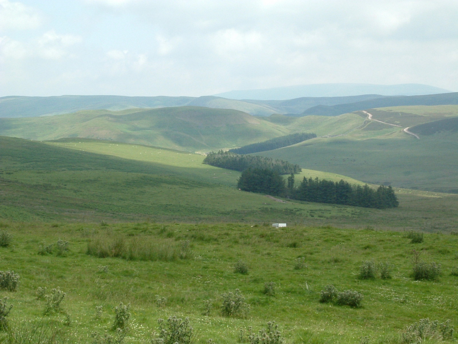 A view of the Cheviots from Dere Street