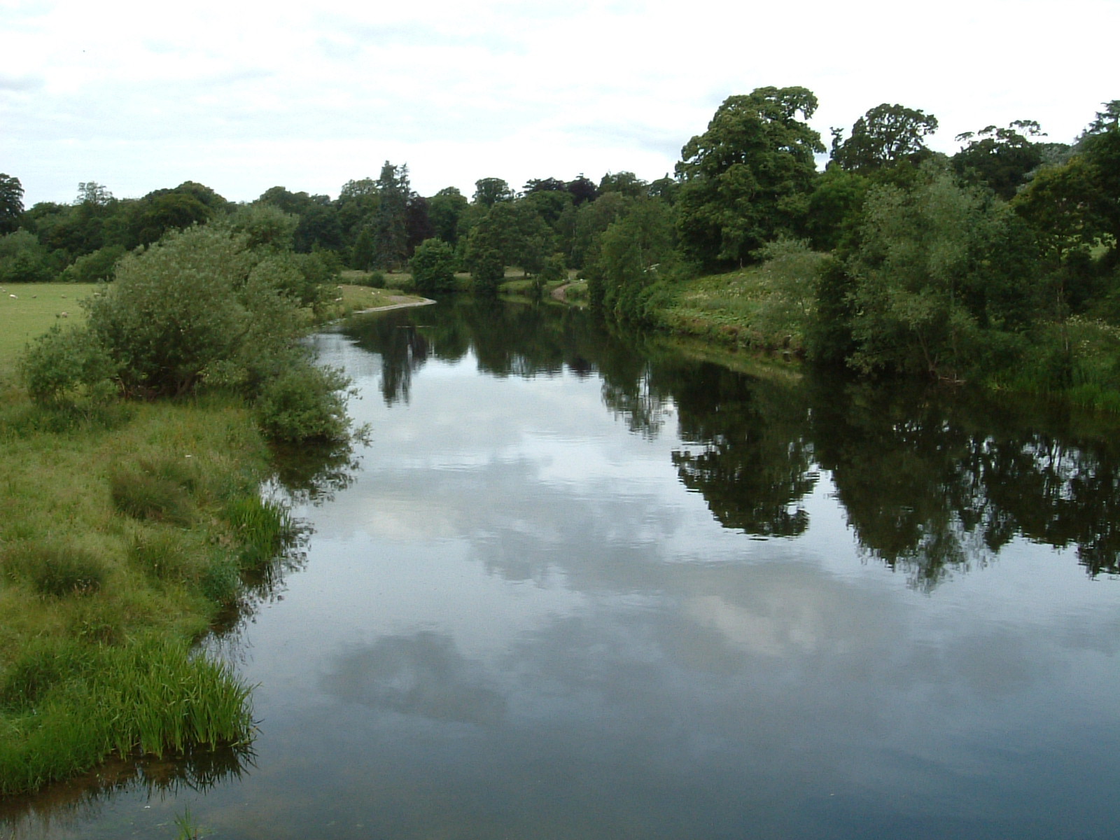 The tranquil River Teviot