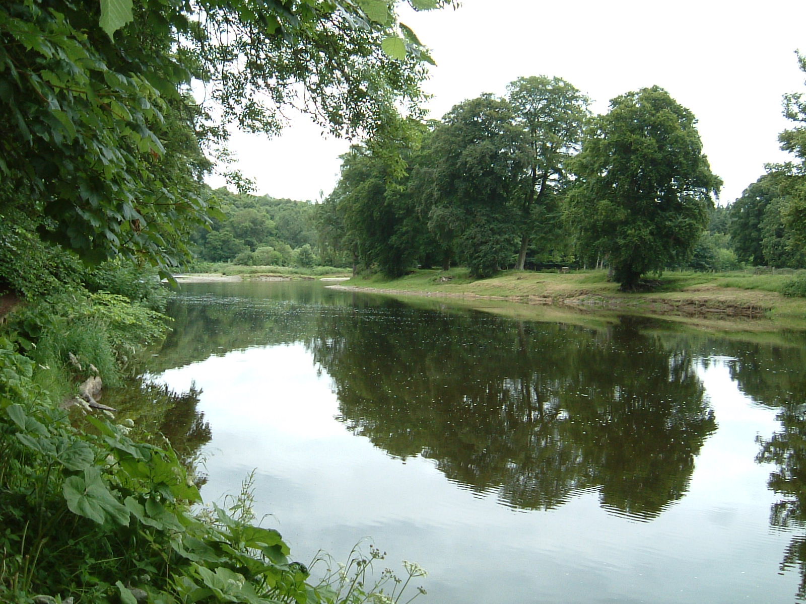 The River Tweed