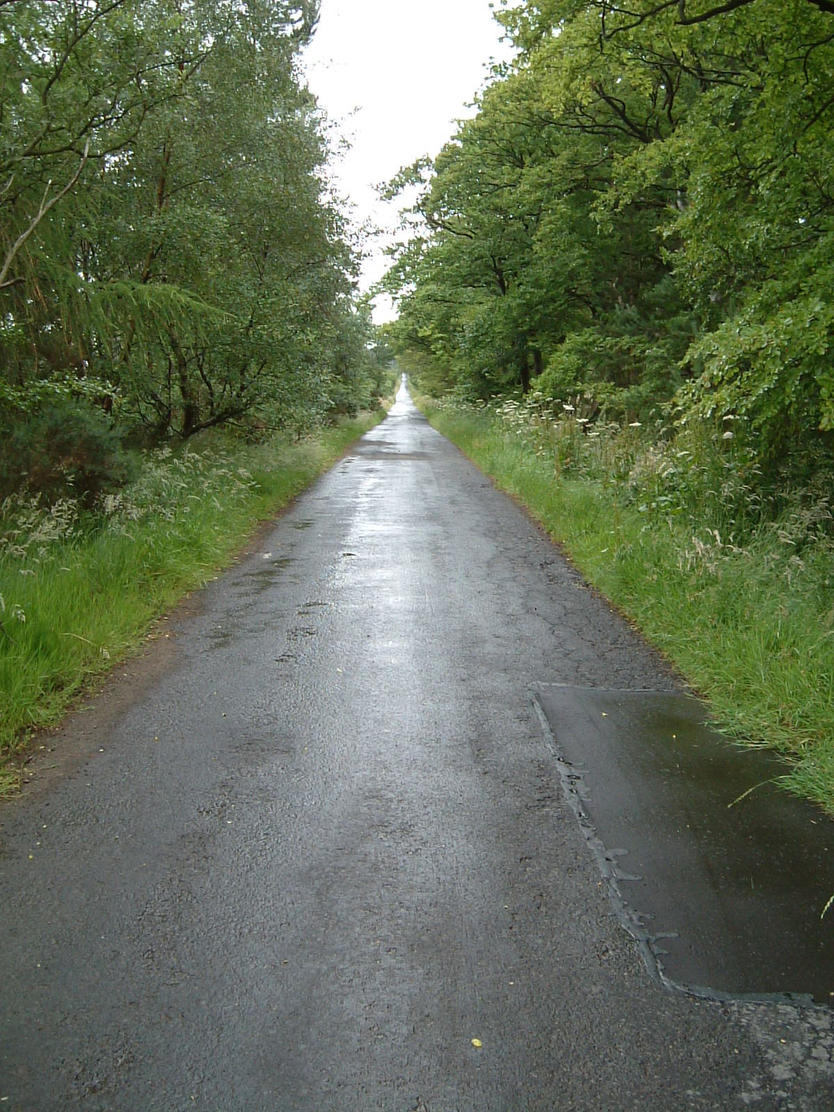 The long, wet road to Balerno