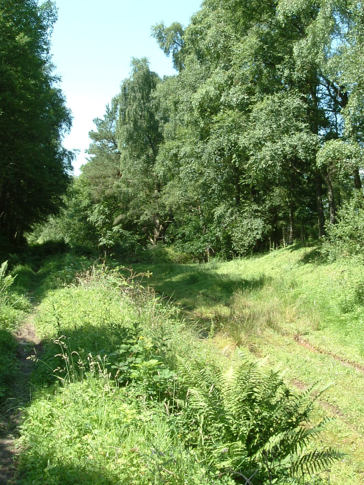 The disused railway line near Duntreath Castle