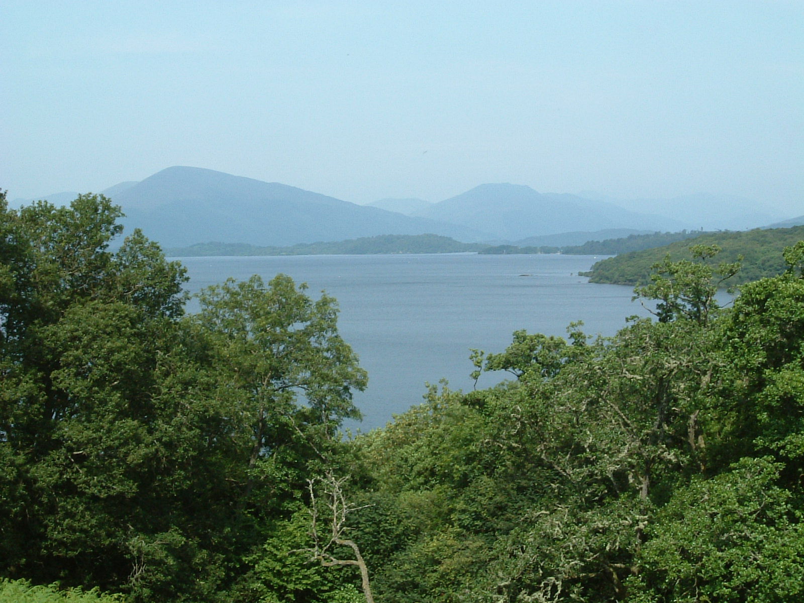 A tantalising glimpse of Loch Lomond from the West Highland Way