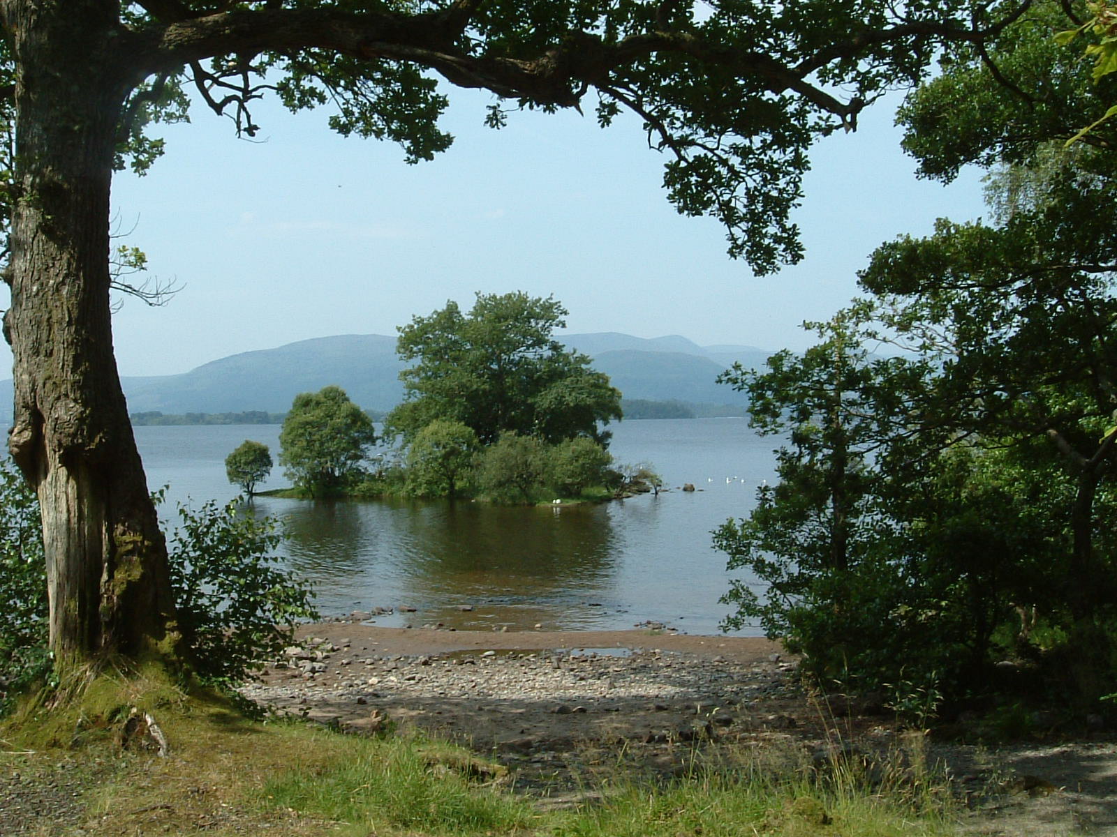 A pretty beach on Loch Lomond