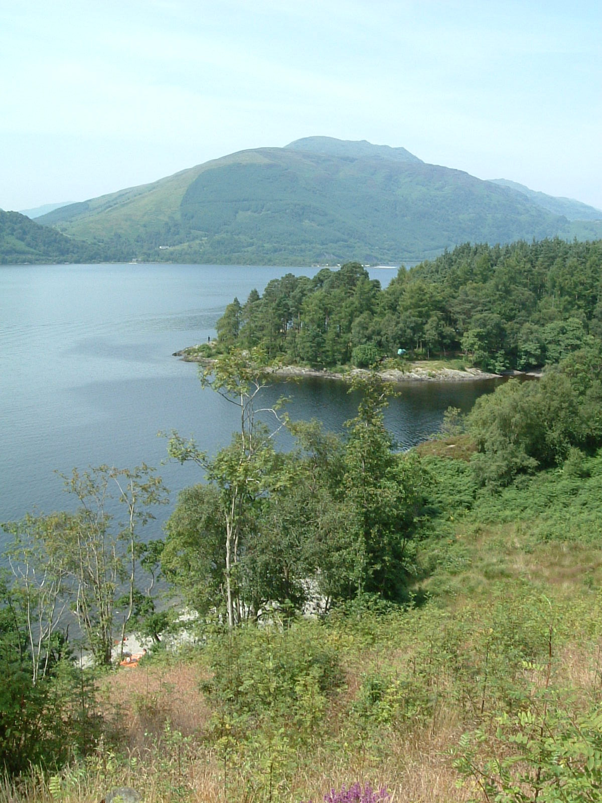 Loch Lomond shoreline