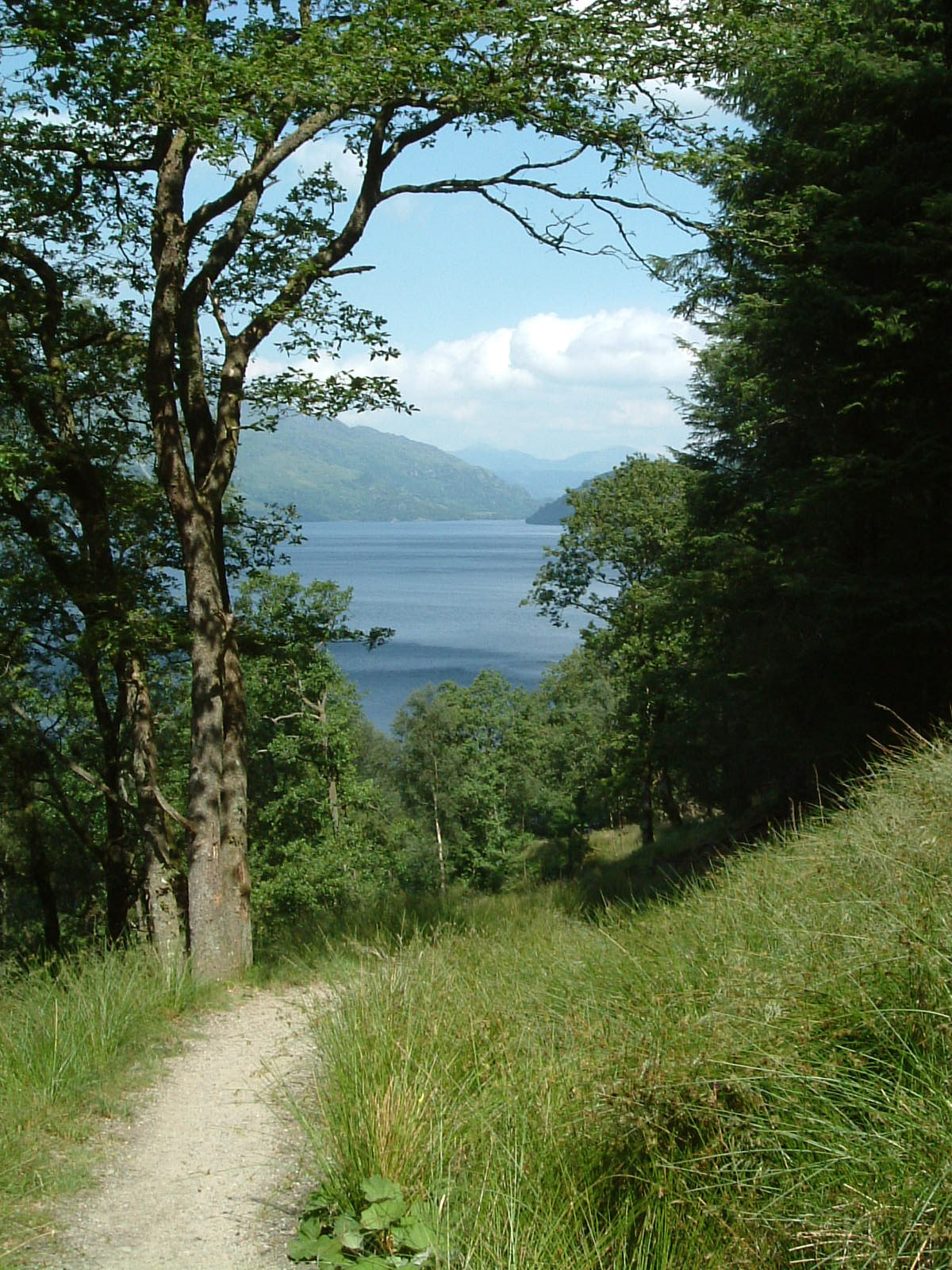 Loch Lomond from the West Highland Way