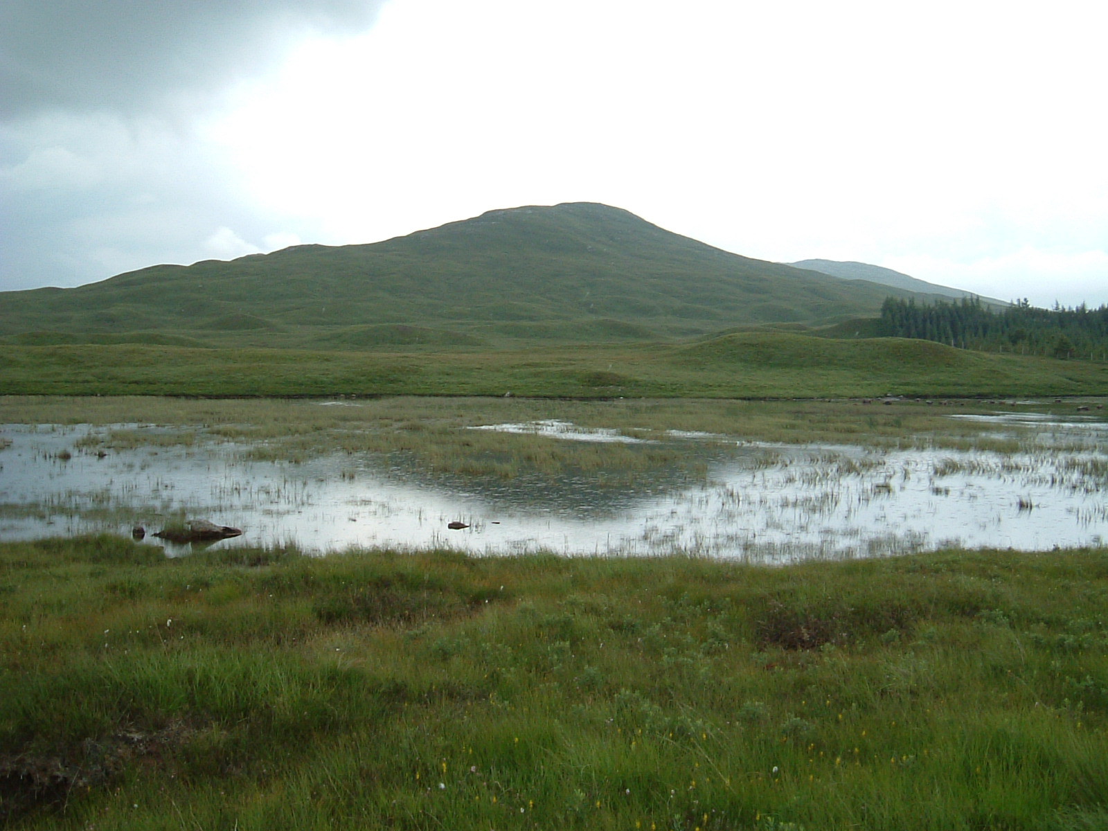 Meall Beag, Rannoch Moor