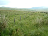 A fence marking the Scottish border