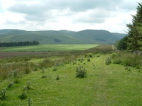 Looking south down Dere Street